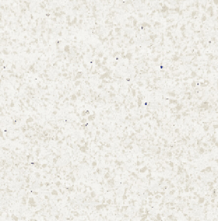 California White